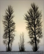 Brian Marcer - Winters Morning